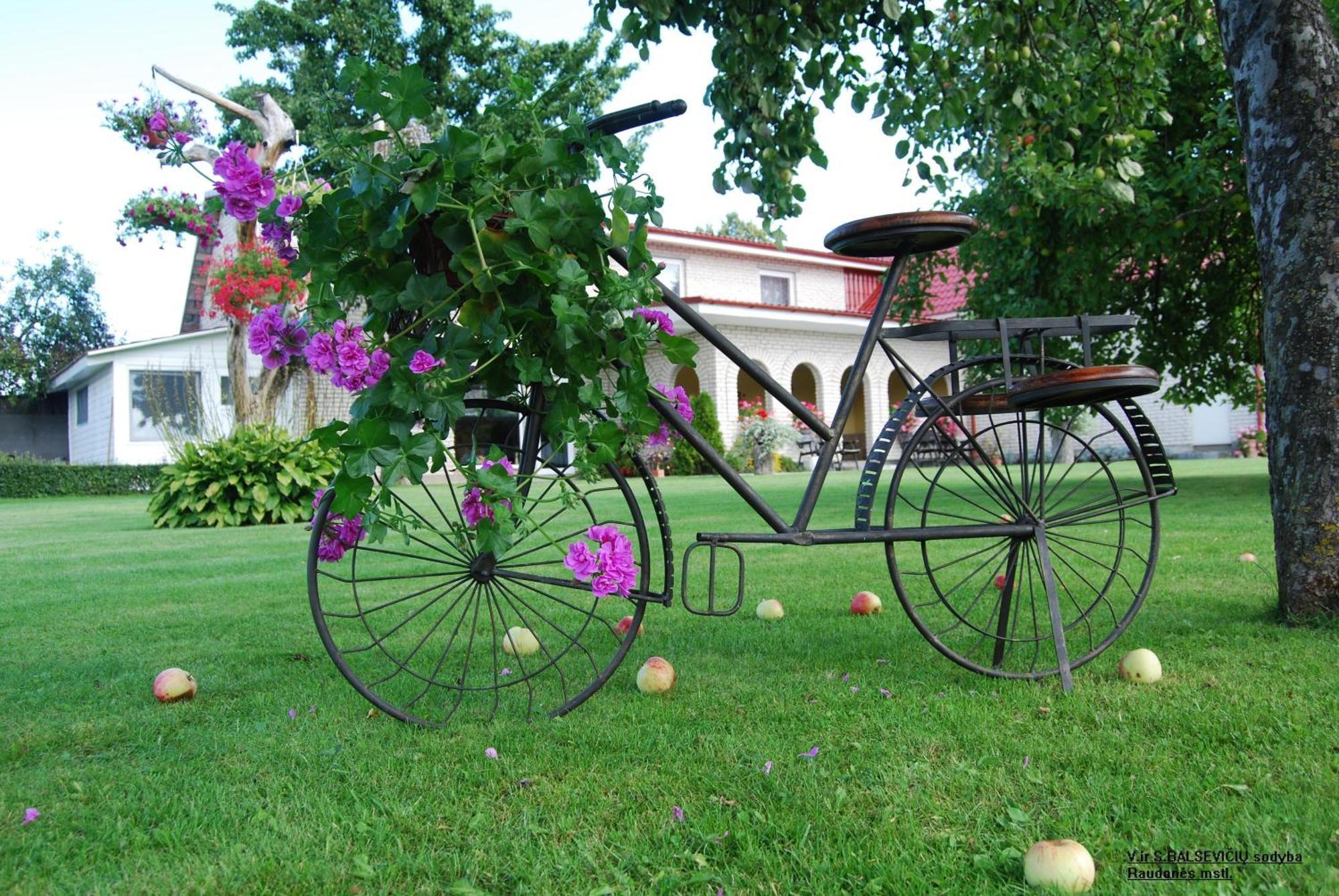 Stasio Balseviciaus Homestead Raudonė Eksteriør billede